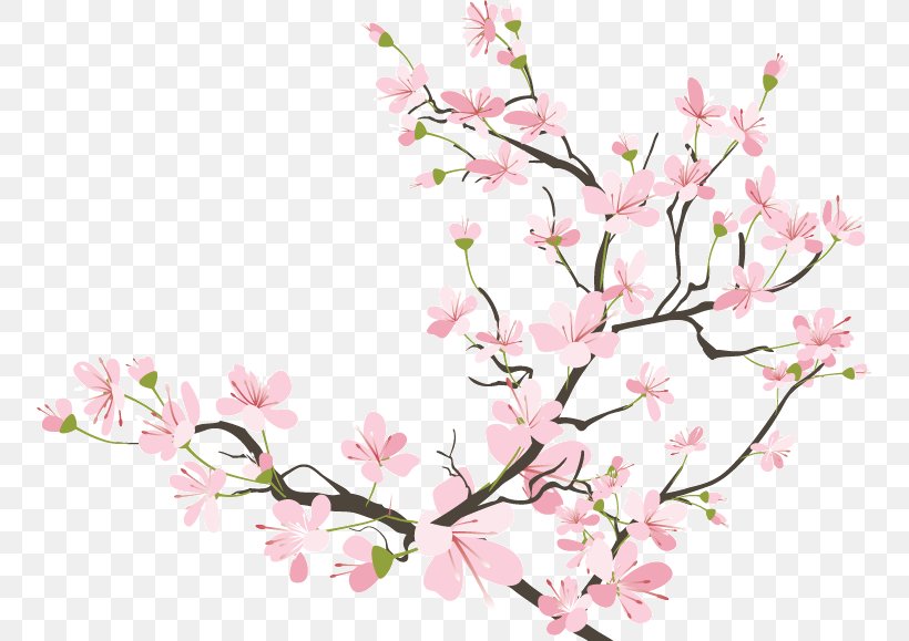 Cherry Blossom Drawing, PNG, 754x579px, Cherry Blossom, Art, Blossom, Branch, Cherry Download Free