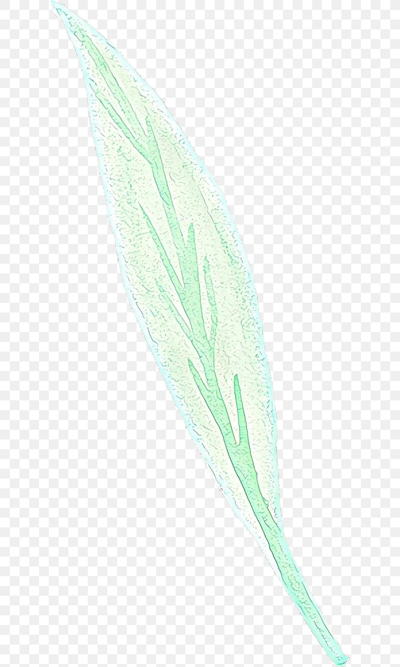 Feather, PNG, 614x1366px, Cartoon, Feather, Flower, Grass, Leaf Download Free