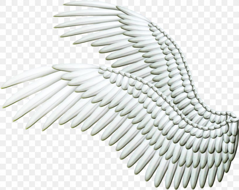 Angel Wings, PNG, 1003x796px, Sticker, Art, Black And White, Pattern, Presentation Download Free