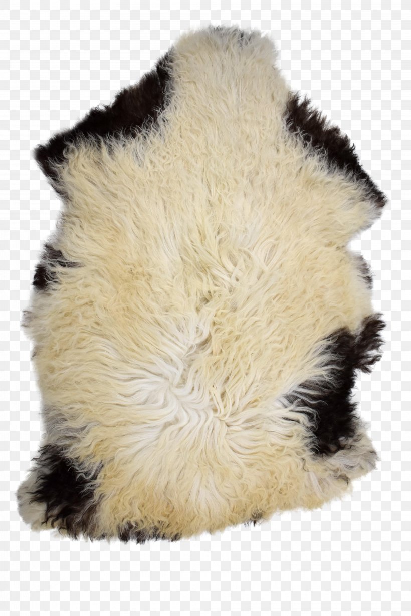 Fur Snout, PNG, 3648x5472px, Fur, Fur Clothing, Snout, Wool Download Free