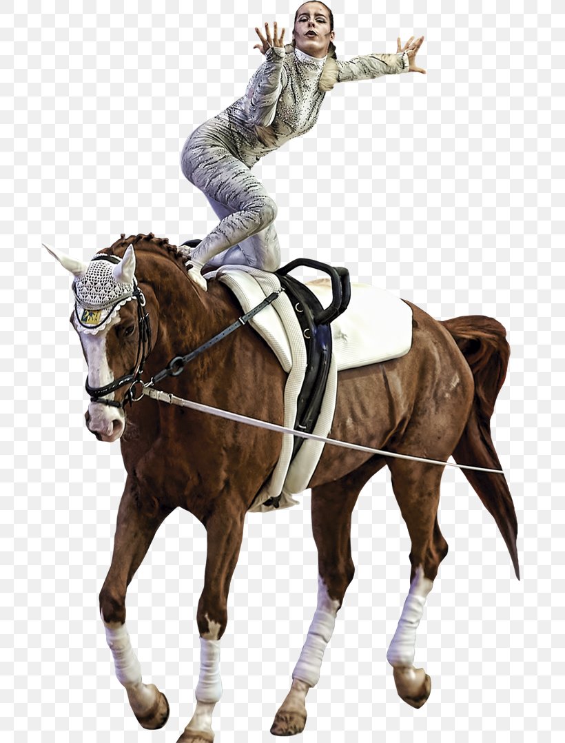 Equestrian Horse Rein Stallion Bridle, PNG, 700x1078px, Equestrian, Animal Figure, Animal Sports, Art, Bit Download Free