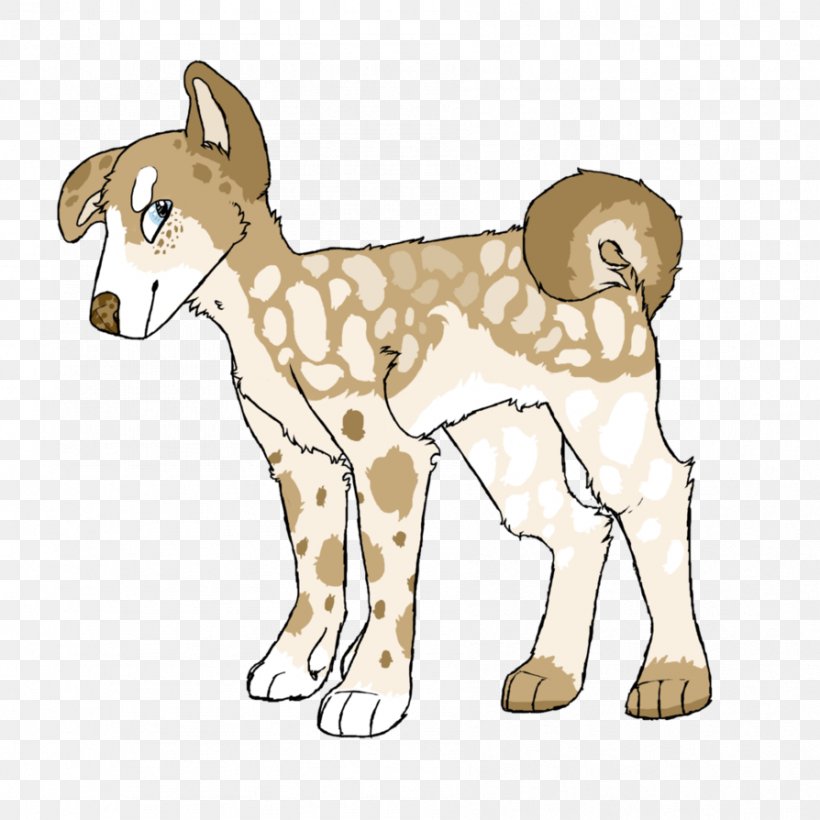 Dog Breed Cat Paw Clip Art, PNG, 894x894px, Dog Breed, Animal, Animal Figure, Breed, Carnivoran Download Free