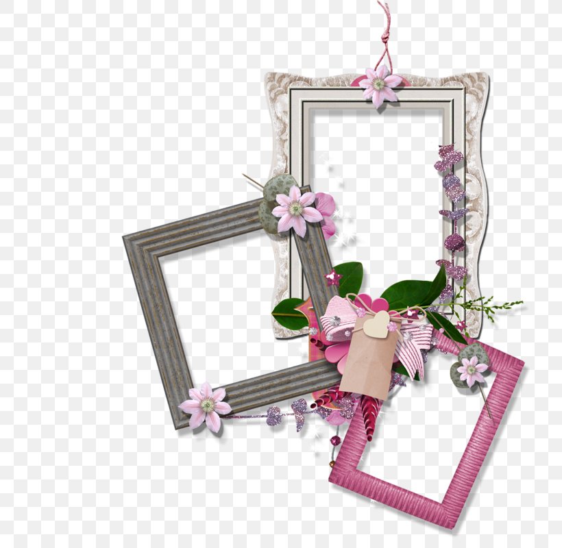Download Picture Frames Photography, PNG, 800x800px, Picture Frames, Editing, Flower, Mirror, Painting Download Free