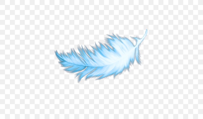 Feather, PNG, 587x480px, Blue, Color, Feather, Highdefinition Television, Quill Download Free