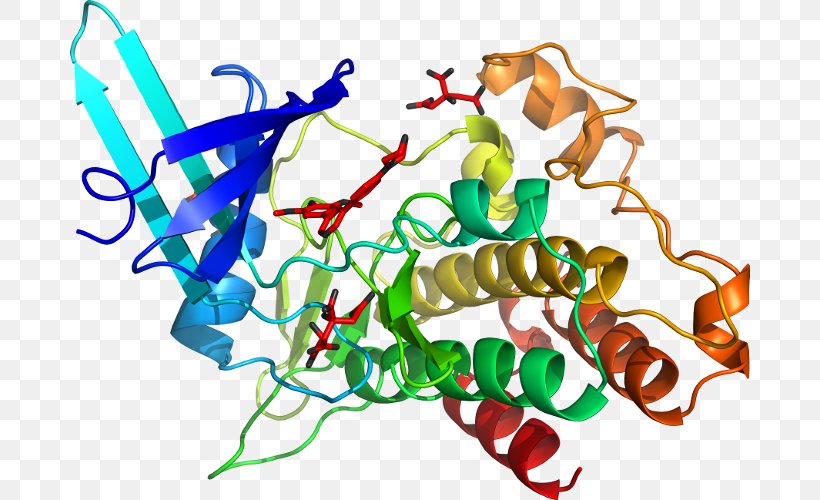 GSK-3 Glycogen Synthase Kinase GSK3B GSK3A Protein, PNG, 680x500px, Protein, Area, Artwork, Enzyme, Glycogen Synthase Download Free