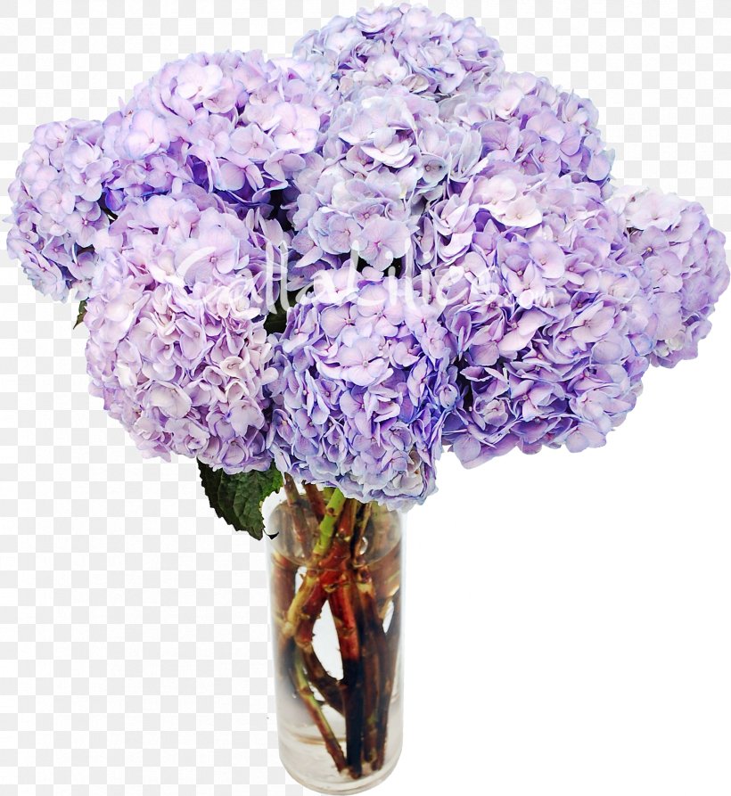 Hydrangea Cut Flowers Lavender Plant, PNG, 1713x1866px, Hydrangea, Artificial Flower, Color, Cornales, Cut Flowers Download Free
