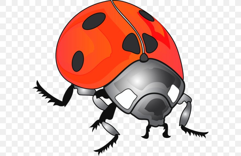 Ladybird Beetle Clip Art, PNG, 600x532px, Beetle, Animal, Arthropod, Bicycle Helmet, Bicycle Helmets Download Free