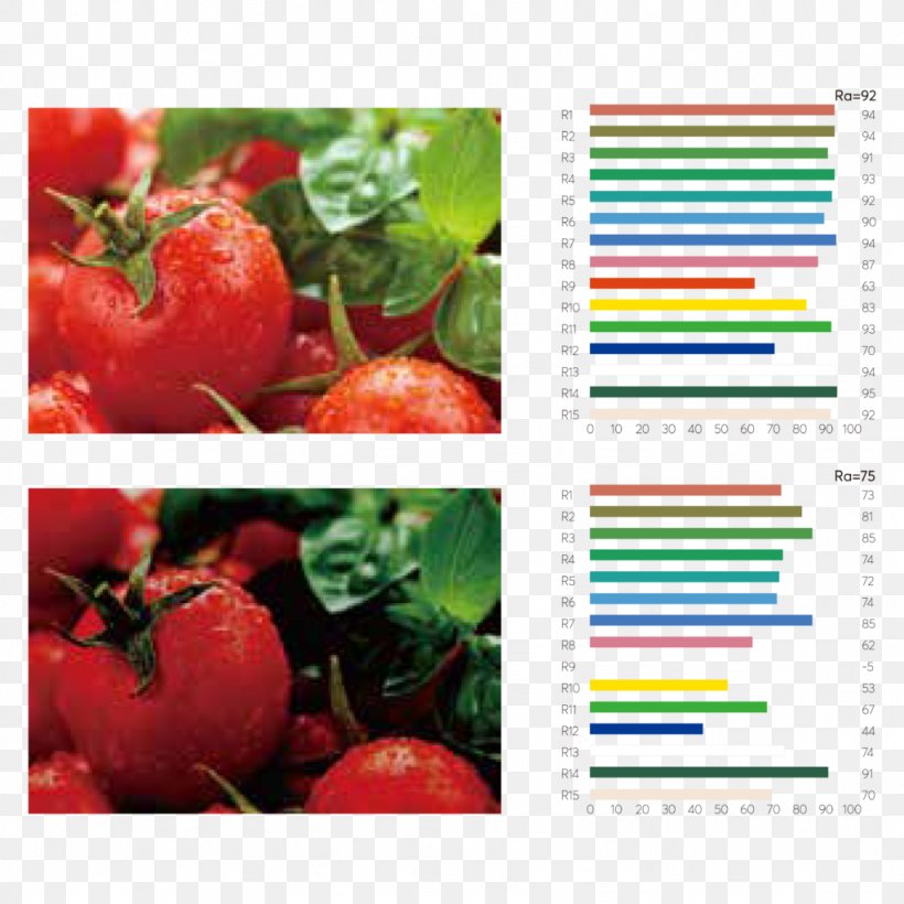 Color Rendering Index Light-emitting Diode Food Industry, PNG, 1024x1024px, Color Rendering Index, Color, Diagram, Diet Food, Food Download Free