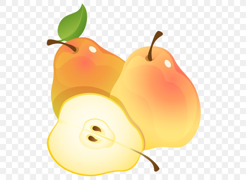 Fruit Pyrus Nivalis Clip Art, PNG, 542x600px, Fruit, Apple, Berry, Drawing, Food Download Free