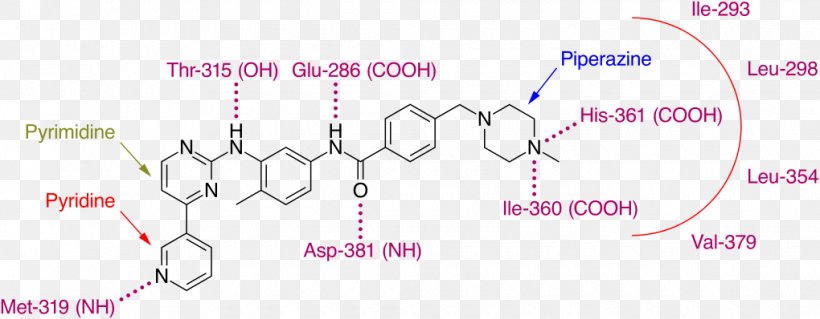 Imatinib Bcr-Abl Tyrosine-kinase Inhibitor, PNG, 1020x398px, Watercolor, Cartoon, Flower, Frame, Heart Download Free