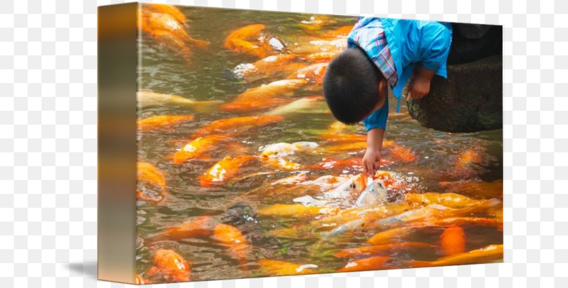 Koi China Water Blanket Canvas, PNG, 650x416px, Koi, Blanket, Cafepress, Canvas, China Download Free