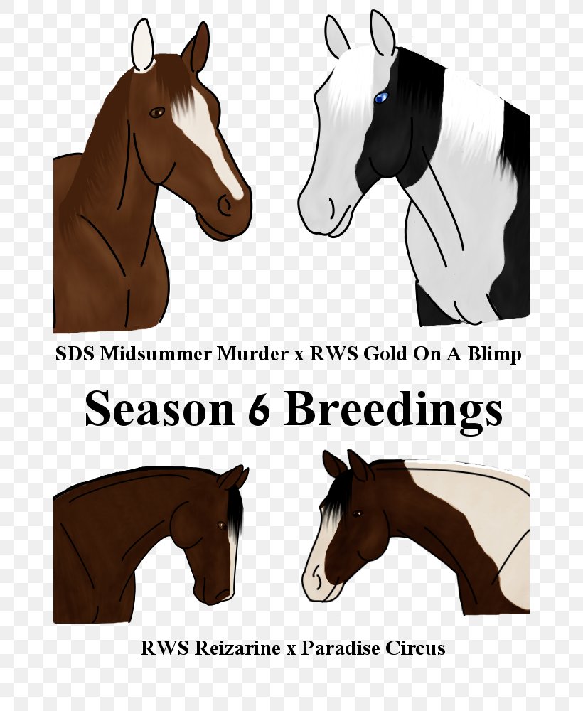 Mustang Stallion Halter Pack Animal Rein, PNG, 670x1000px, Mustang, Bridle, Cartoon, Colt, Halter Download Free