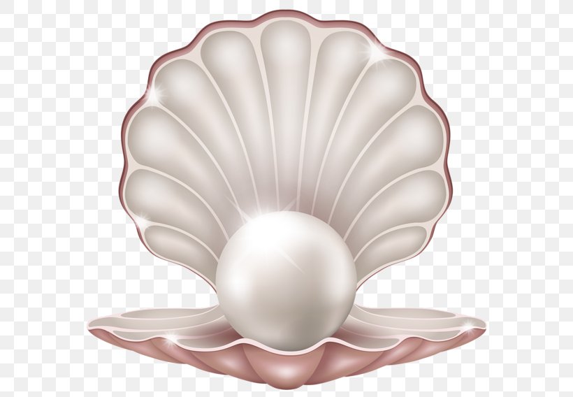 Pearl Jewellery Icon, PNG, 600x568px, Oyster, Clam, Flower, Jewellery ...