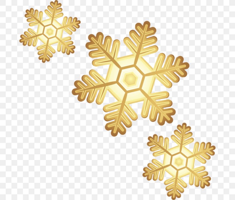 Snowflake Schema Clip Art, PNG, 685x700px, Snowflake, Commodity, Gold, Photography, Picture Frames Download Free