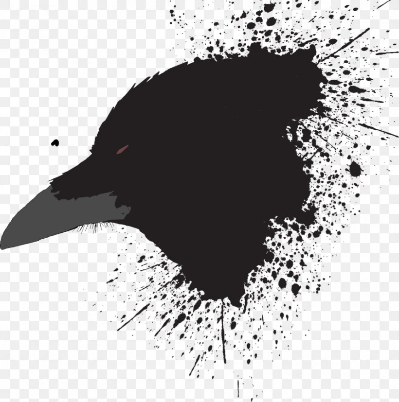 Black And White Beak Graphics Video Image, PNG, 890x898px, Black And White, Beak, Bird, Black, Film Director Download Free