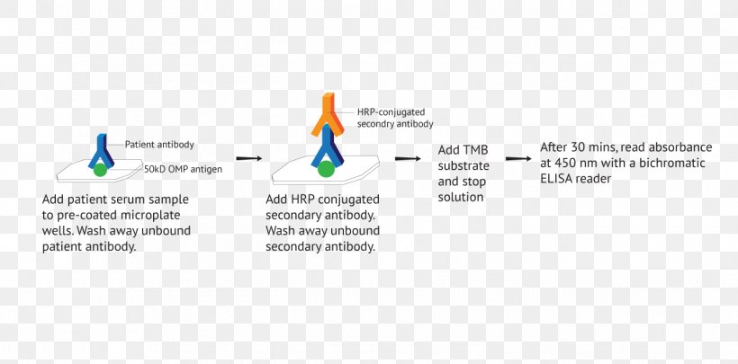 Brand Logo Technology, PNG, 1350x668px, Brand, Area, Diagram, Logo, Operating System Download Free