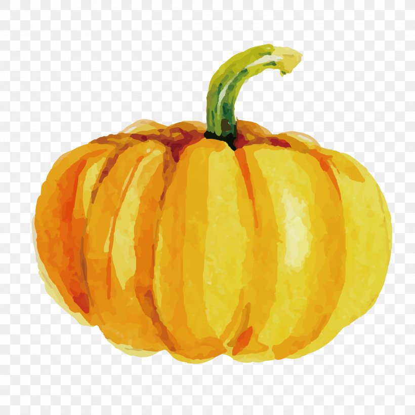 Calabaza Jack-o-lantern Pumpkin Winter Squash Vegetarian Cuisine, PNG, 2917x2917px, Calabaza, Adoption, Commodity, Cucumber Gourd And Melon Family, Cucurbita Download Free