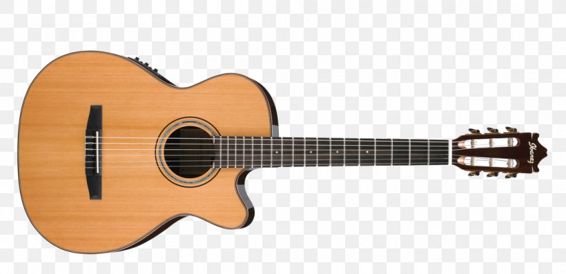 Takamine Guitars Classical Guitar Steel-string Acoustic Guitar Acoustic-electric Guitar, PNG, 1100x533px, Watercolor, Cartoon, Flower, Frame, Heart Download Free