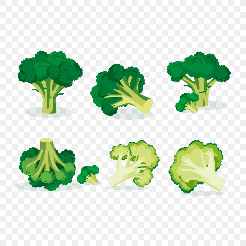 Broccoli Vegetable Euclidean Vector Illustration, PNG, 3333x3333px, Broccoli, Brassica Oleracea, Food, Grass, Green Download Free