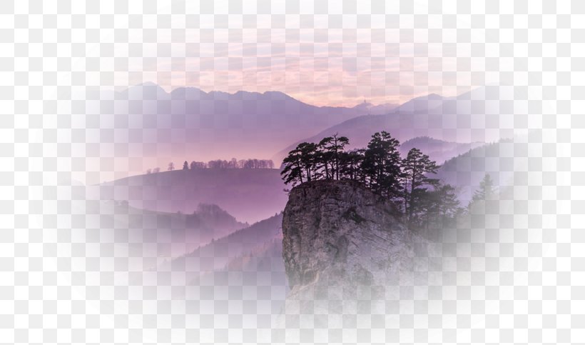 Desktop Wallpaper Hill Station Computer Mountain Tree, PNG, 800x483px, Hill Station, Atmosphere, Computer, Dawn, Fog Download Free