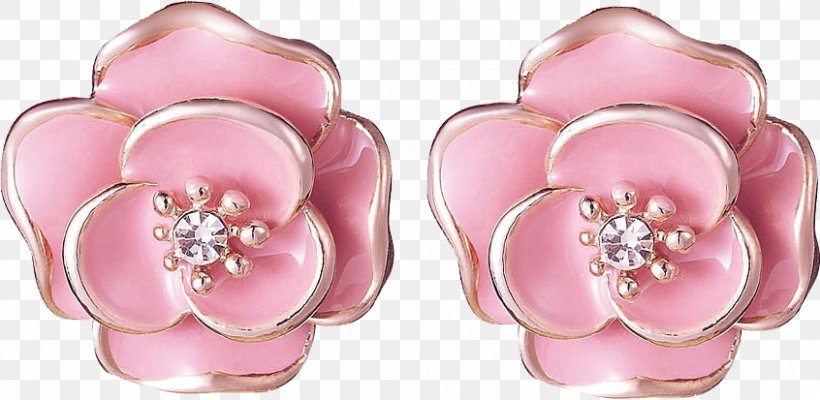 Earring Fashion Accessory Jewellery, PNG, 846x413px, Earring, Body Jewelry, Cut Flowers, Designer, Ear Download Free