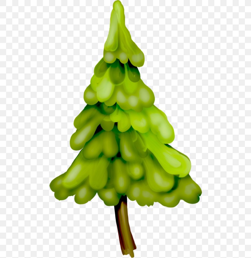 Spruce Christmas Ornament Vegetable Christmas Tree Fir, PNG, 500x843px, Spruce, Christmas, Christmas Decoration, Christmas Ornament, Christmas Tree Download Free
