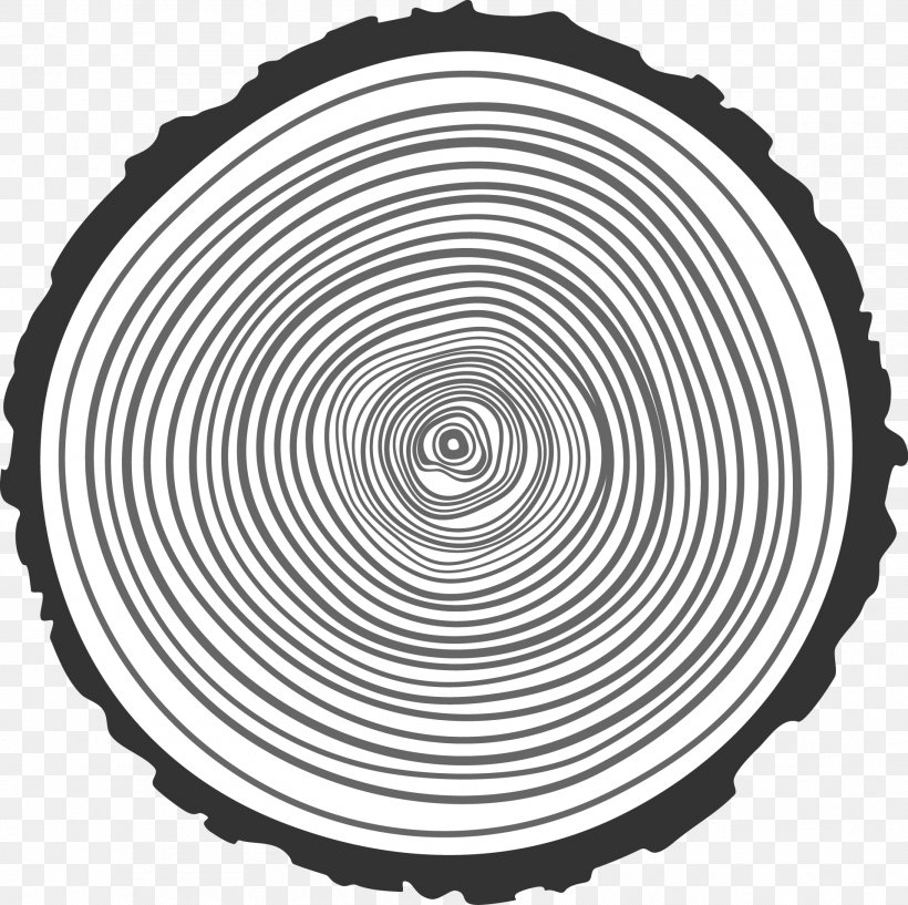 Tree Aastarxf5ngad Wood Illustration, PNG, 1915x1908px, Tree, Bark, Black And White, Monochrome, Monochrome Photography Download Free