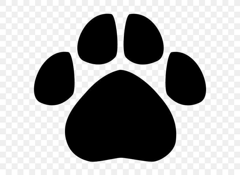 Dog American Black Bear Jaguar Cat, PNG, 600x600px, Dog, American Black Bear, Animal, Animal Print, Animal Track Download Free