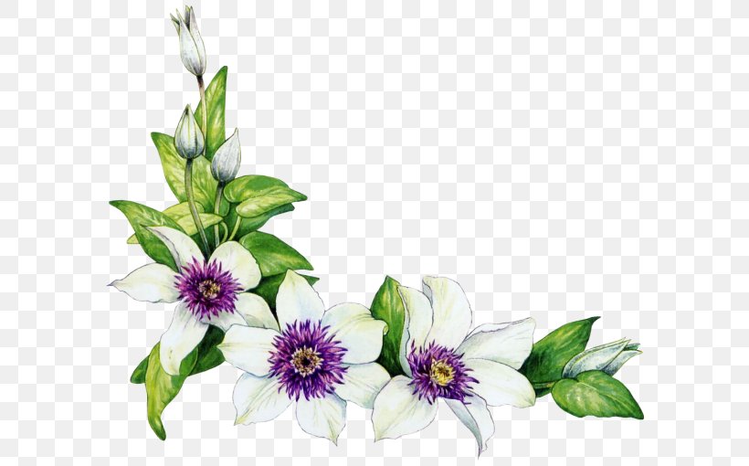 Flower Clip Art, PNG, 600x510px, Flower, Color, Cut Flowers, Floral Design, Floristry Download Free