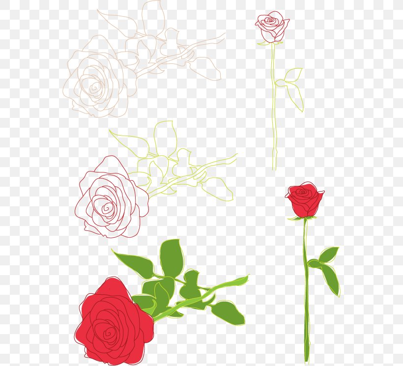 Rose Drawing Clip Art, PNG, 566x745px, Rose, Art, Cut Flowers, Drawing, Flora Download Free