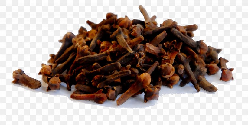 Syzygium Aromaticum Human Tooth Oil Of Clove Medicine, PNG, 3185x1608px, Syzygium Aromaticum, Clove, Cuisine, Dentin Hypersensitivity, Dish Download Free