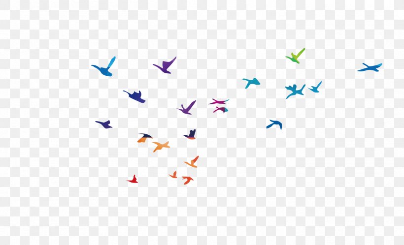 Bird Flight Common Gull, PNG, 1408x856px, Bird, Bird Flight, Common Gull, Designer, Flight Download Free