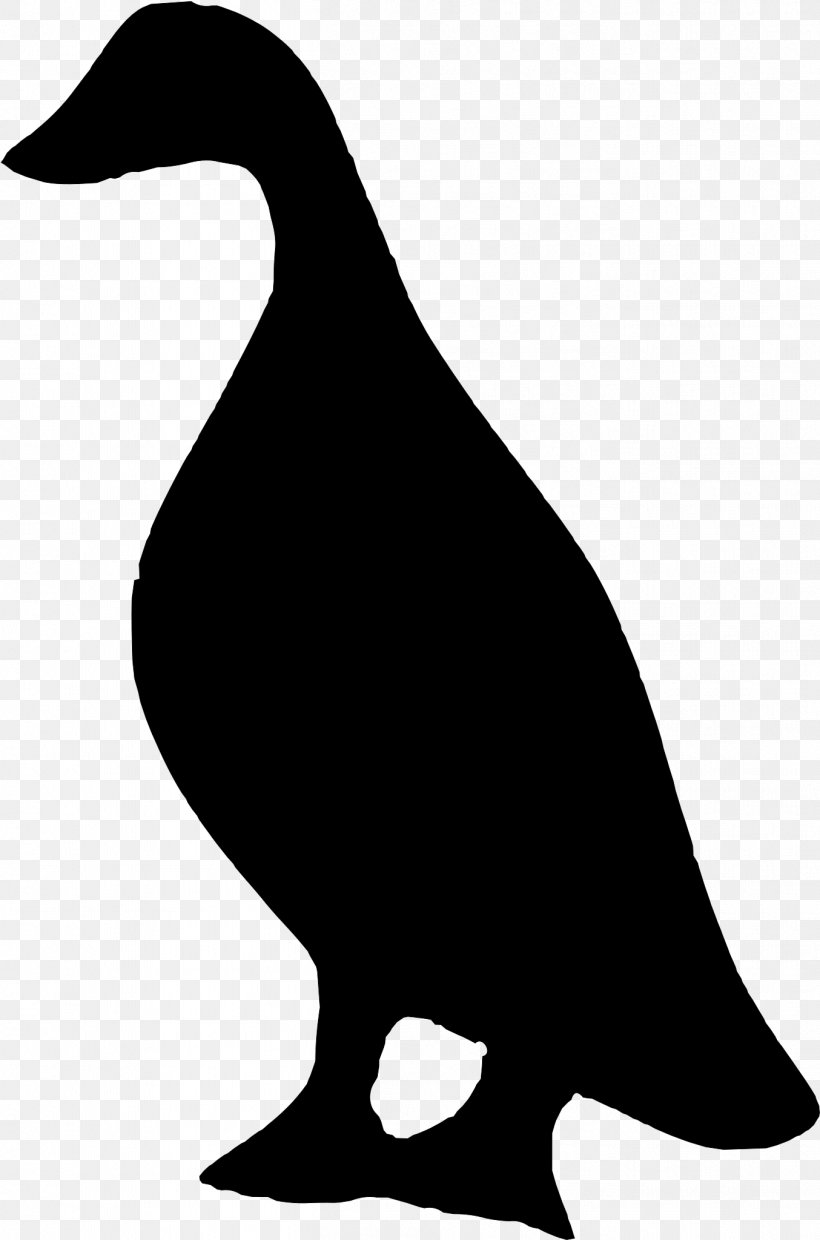 Duck Vector Graphics Clip Art Illustration Silhouette, PNG, 1354x2048px, Duck, Art, Beak, Bird, Blackandwhite Download Free