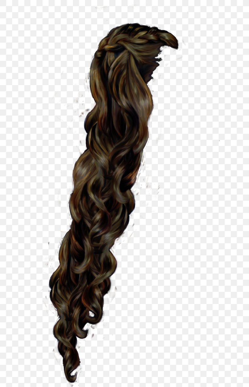 Long Hair Hair Coloring Brown Hair, PNG, 628x1273px, Long Hair, Brown, Brown Hair, Hair, Hair Coloring Download Free