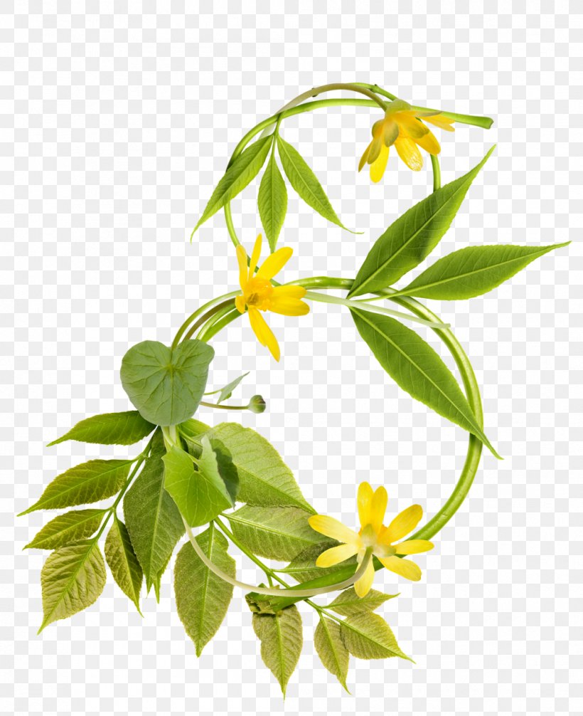 March 8 Clip Art, PNG, 1043x1280px, March 8, Branch, Flower, Flowering Plant, Flowerpot Download Free