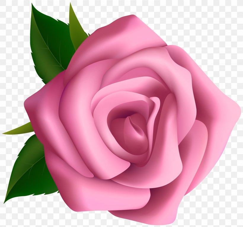 Rose Free Content Pink Clip Art, PNG, 6268x5859px, Rose, Blog, China Rose, Close Up, Cut Flowers Download Free