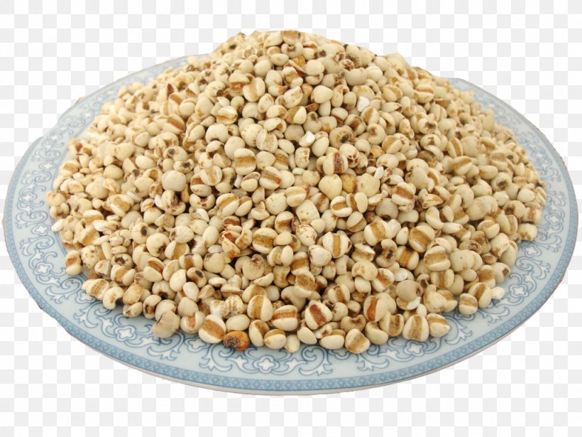Adlay Cereal Barley Food Wheat, PNG, 1024x768px, Adlay, Barley, Beijing Media Network, Caryopsis, Cereal Download Free