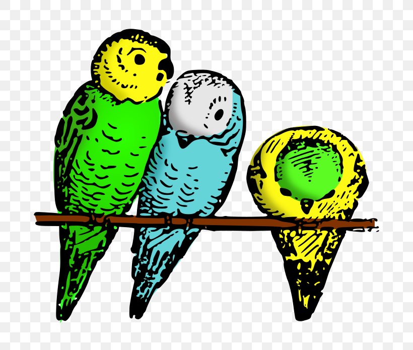 Budgerigar Bird Cockatiel Parakeet Clip Art, PNG, 800x695px, Budgerigar, Animal, Beak, Bird, Cage Download Free