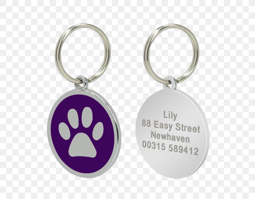 Dog Collar Puppy Cat Pet Tag, PNG, 640x640px, Dog, Body Jewelry, Cat, Collar, Dog Collar Download Free