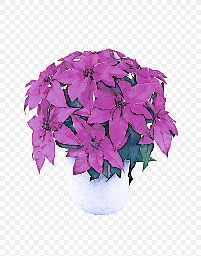 Flower Plant Purple Violet Pink, PNG, 871x1111px, Flower, Bougainvillea, Flowering Plant, Impatiens, Magenta Download Free