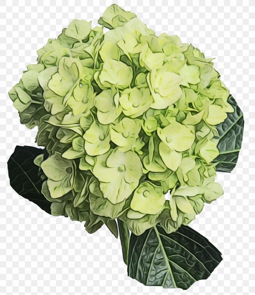 Hydrangea Garden Roses Cut Flowers Floral Design, PNG, 1000x1157px, Hydrangea, Annual Plant, Anthurium, Artificial Flower, Bouquet Download Free