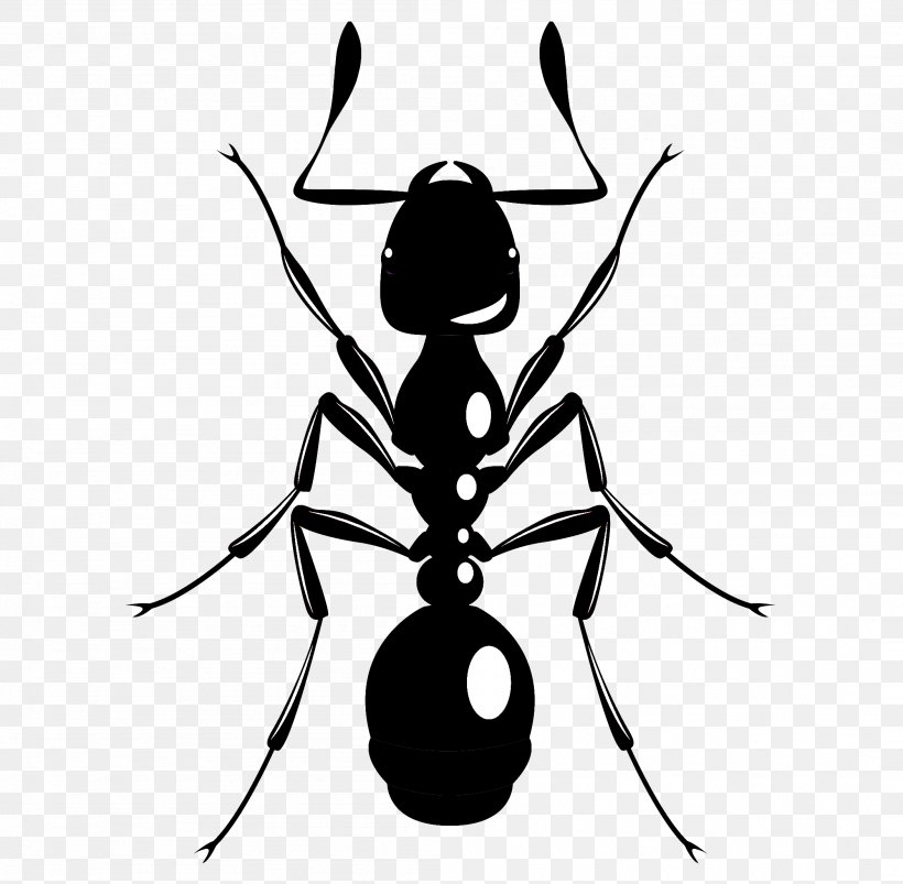 Insect Pest Ant Membrane-winged Insect Clip Art, PNG, 2102x2060px, Insect, Ant, Membranewinged Insect, Pest Download Free