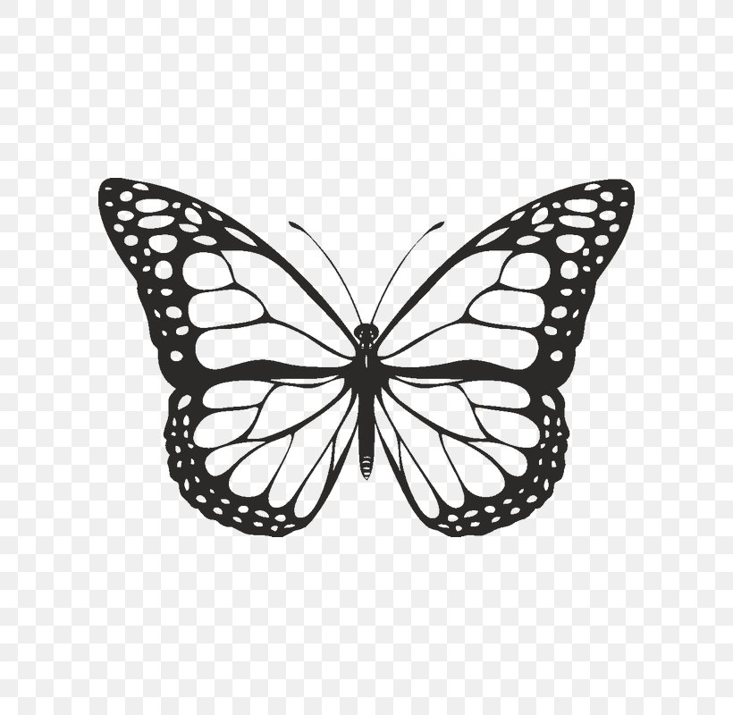 Butterfly Black And White Clip Art, PNG, 800x800px, Butterfly, Art, Arthropod, Black, Black And White Download Free