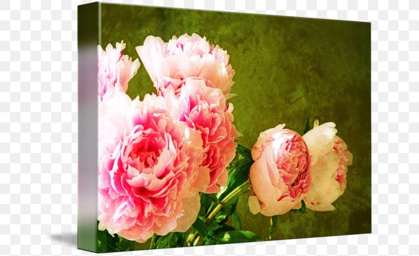 Garden Roses Cabbage Rose Floral Design Cut Flowers Flower Bouquet, PNG, 650x502px, Garden Roses, Cabbage Rose, Cut Flowers, Family, Floral Design Download Free