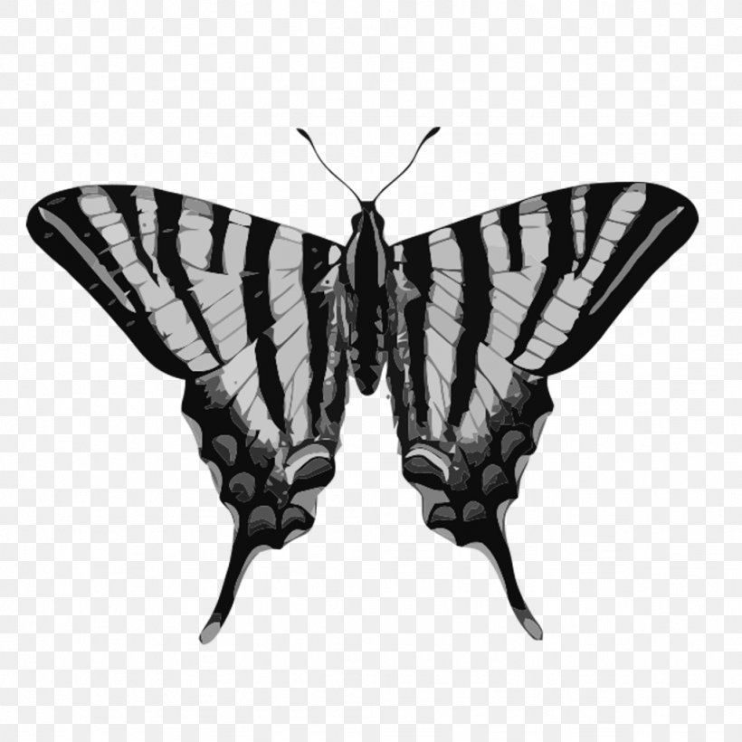 Insect Scarce Swallowtail Swallowtail Butterfly Old World Swallowtail Black Swallowtail, PNG, 1024x1024px, Insect, Arthropod, Black And White, Black Swallowtail, Brush Footed Butterfly Download Free