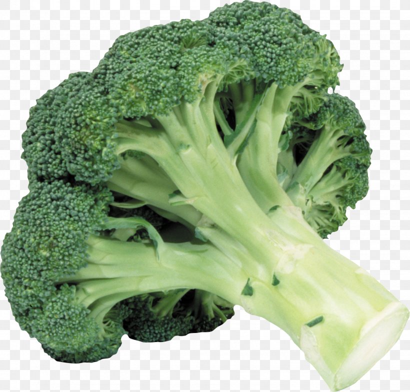 Romanesco Broccoli Clip Art, PNG, 1541x1474px, Broccoli, Art, Cruciferous Vegetables, Food, Leaf Vegetable Download Free
