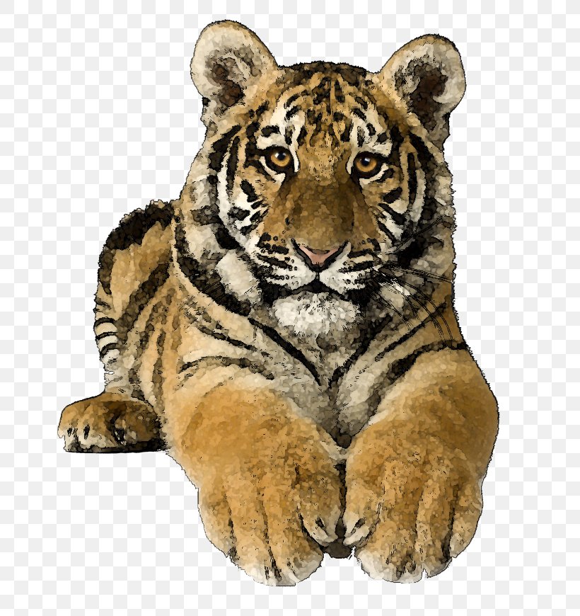 Bengal Cat Bengal Tiger Siberian Tiger Felidae Clip Art, PNG, 725x870px, Bengal Cat, Bengal Tiger, Big Cats, Carnivoran, Cat Like Mammal Download Free