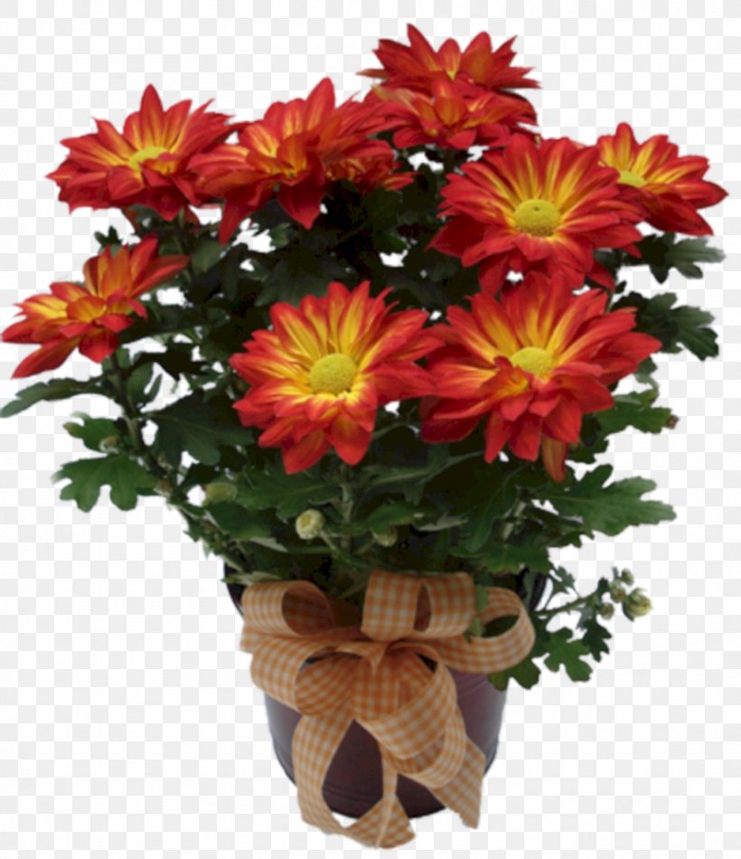 Chrysanthemum Cut Flowers Plant Transvaal Daisy, PNG, 883x1024px, Chrysanthemum, Annual Plant, Argyranthemum Frutescens, Artificial Flower, Chrysanths Download Free