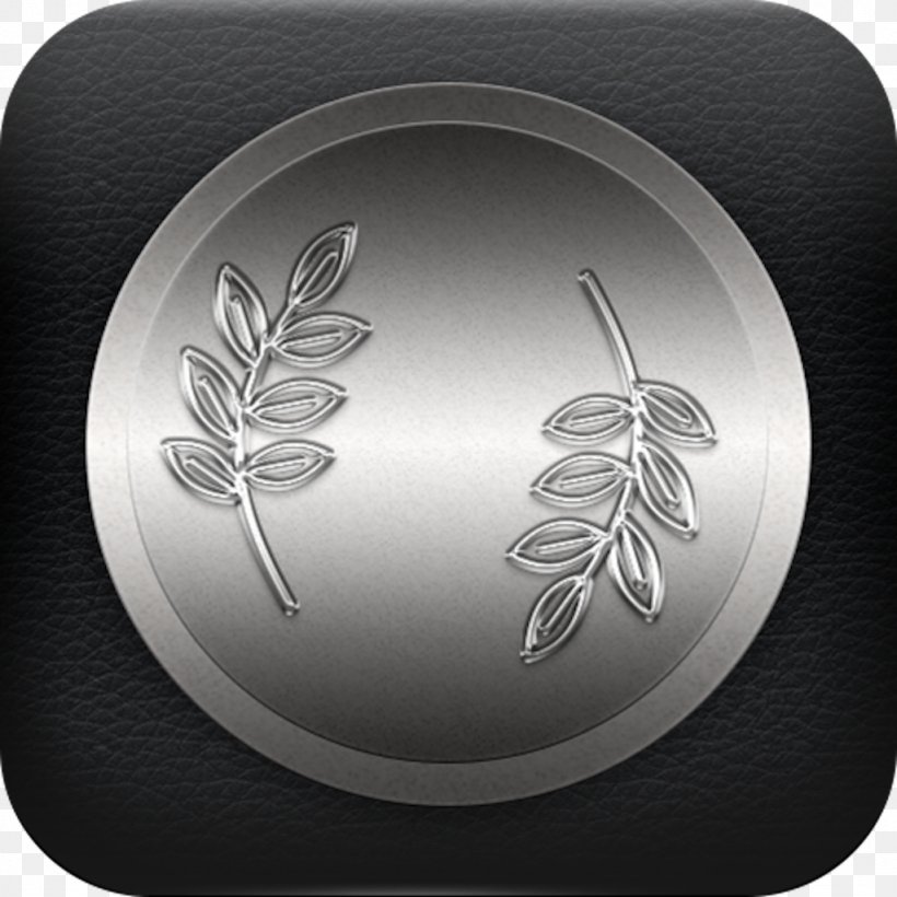 Silver Circle, PNG, 1024x1024px, Silver, Wheel Download Free