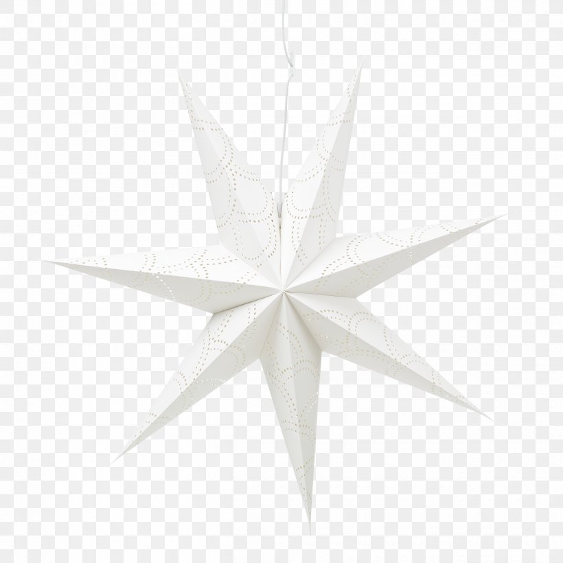 Paper Star White Centimeter Angle, PNG, 2500x2500px, Paper, Black And White, Centimeter, Christmas Lights, Star Download Free